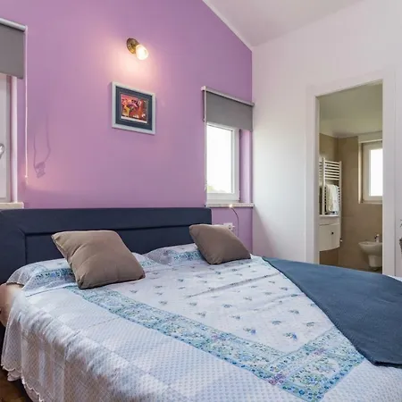 别墅 - Managed By Travel Istria Tinjan